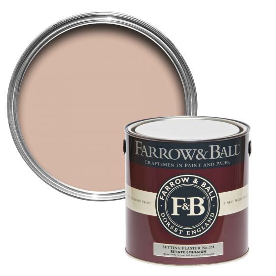 Farrow and Ball Estate Emulsion Setting Plaster No.231 2.5L